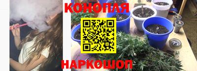 бошки Тверь