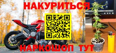 бошки Тверь