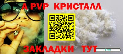 бошки Тверь