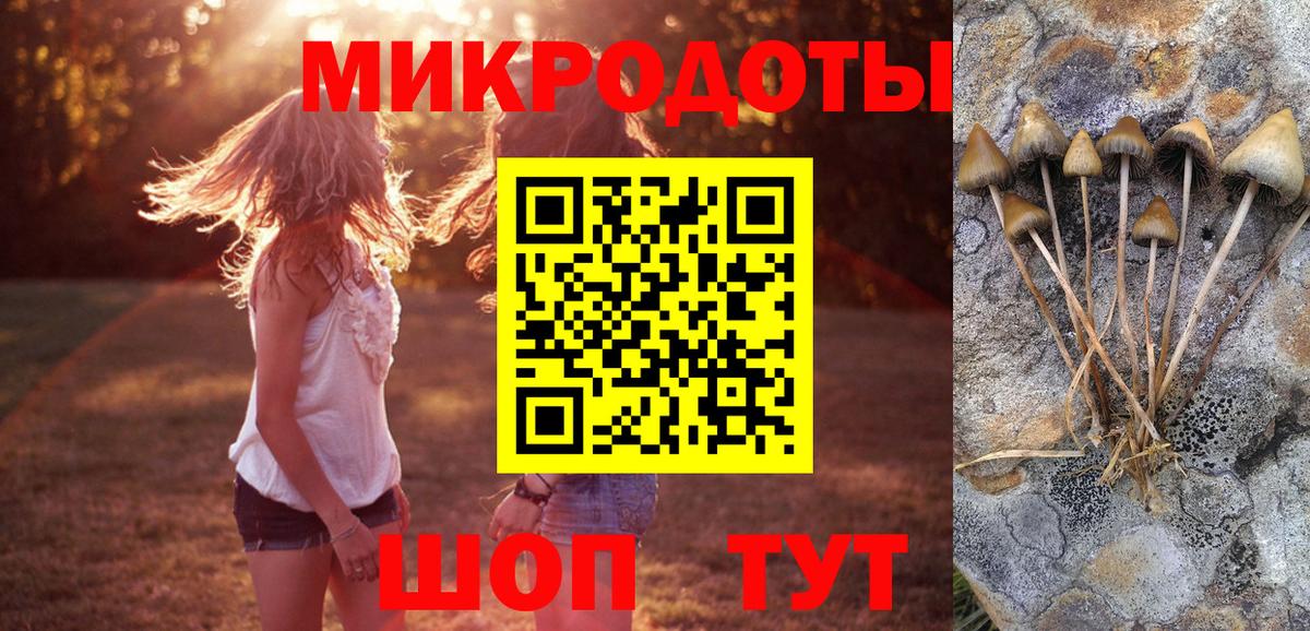 Галлюциногенные грибы Psilocybe  Вход с VPN  Галлюциногенные грибы мицелий  Муравленко 